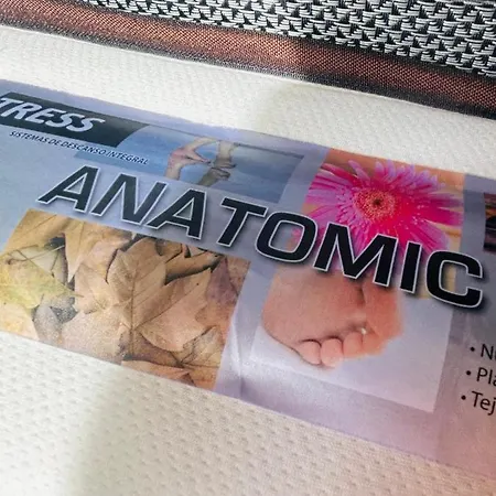 Plaza Mayor - Bohemia Pensión *