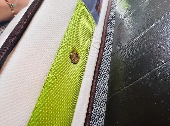 게스트하우스 Plaza Mayor - Bohemia 레온