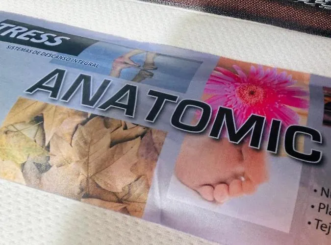 Plaza Mayor - Bohemia 게스트하우스 *