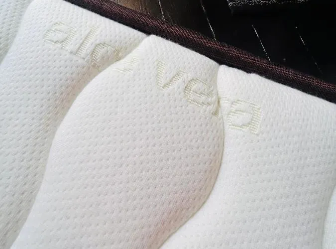 Plaza Mayor - Bohemia *